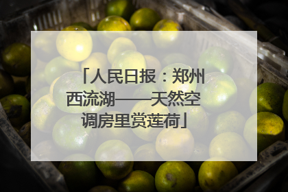 人民日报：郑州西流湖——天然空调房里赏莲荷