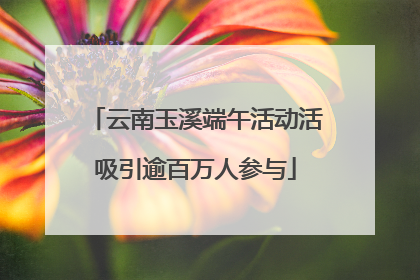 云南玉溪端午活动活吸引逾百万人参与