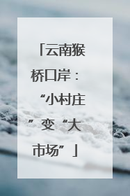 云南猴桥口岸：“小村庄”变“大市场”