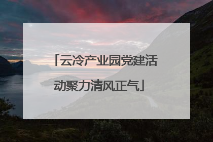 云冷产业园党建活动聚力清风正气