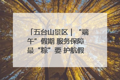 五台山景区｜“端午”假期 服务保障最“粽”要 护航假期“不打烊”