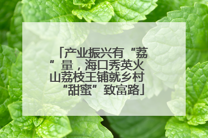 产业振兴有“荔”量，海口秀英火山荔枝王铺就乡村“甜蜜”致富路