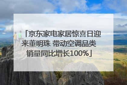 京东家电家居惊喜日迎来董明珠 带动空调品类销量同比增长100%