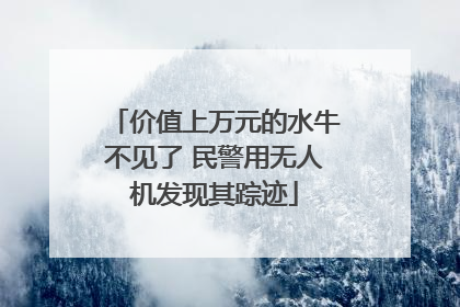 价值上万元的水牛不见了 民警用无人机发现其踪迹