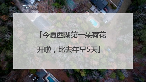 今夏西湖第一朵荷花开啦，比去年早5天