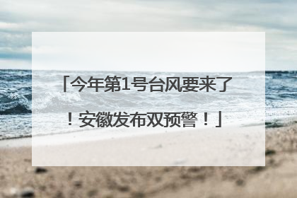 今年第1号台风要来了！安徽发布双预警！