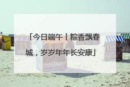 今日端午丨粽香飘春城，岁岁年年长安康