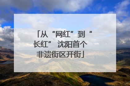 从“网红”到“长红” 沈阳首个非遗街区开街