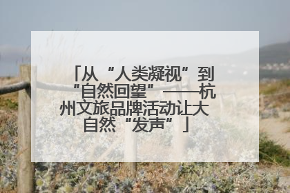 从“人类凝视”到“自然回望”——杭州文旅品牌活动让大自然“发声”