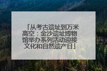 从考古遗址到万米高空：金沙遗址博物馆举办系列活动迎接文化和自然遗产日