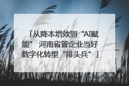 从降本增效到“AI赋能” 河南省管企业当好数字化转型“排头兵”