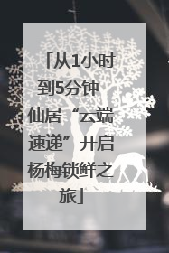 从1小时到5分钟 仙居“云端速递”开启杨梅锁鲜之旅