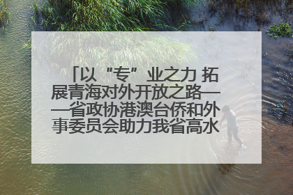 以“专”业之力 拓展青海对外开放之路——省政协港澳台侨和外事委员会助力我省高水平开放和高质量发展