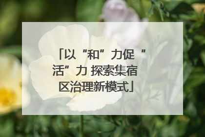 以“和”力促“活”力 探索集宿区治理新模式