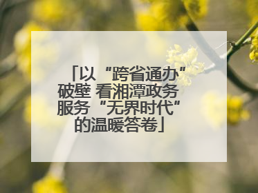 以“跨省通办”破壁 看湘潭政务服务“无界时代”的温暖答卷