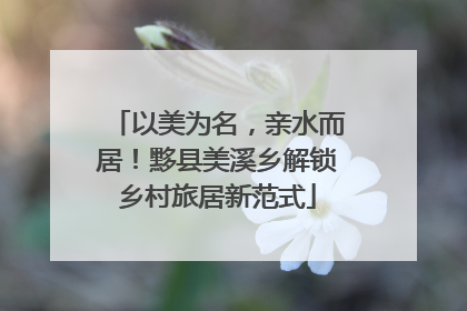 以美为名，亲水而居！黟县美溪乡解锁乡村旅居新范式