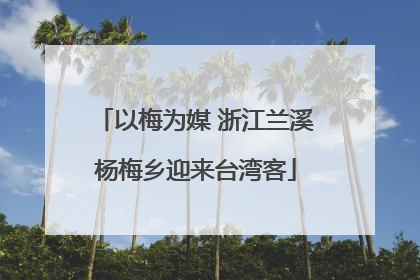 以梅为媒 浙江兰溪杨梅乡迎来台湾客