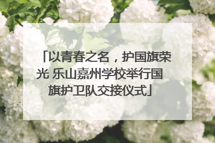 以青春之名，护国旗荣光 乐山嘉州学校举行国旗护卫队交接仪式