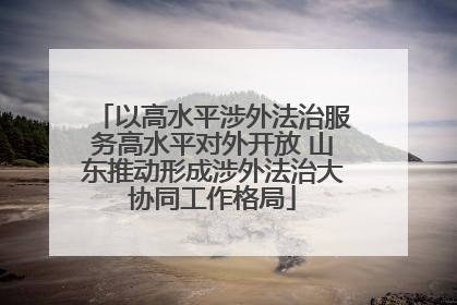 以高水平涉外法治服务高水平对外开放 山东推动形成涉外法治大协同工作格局