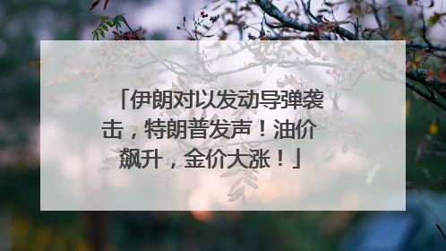 伊朗对以发动导弹袭击，特朗普发声！油价飙升，金价大涨！