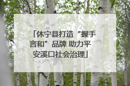 休宁县打造“握手言和”品牌 助力平安溪口社会治理
