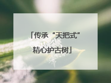 传承“天把式” 精心护古树