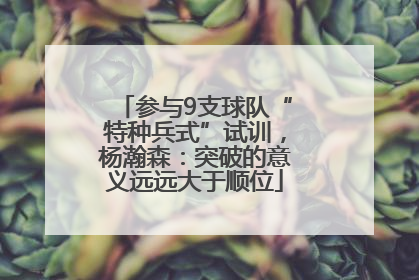 参与9支球队“特种兵式”试训，杨瀚森：突破的意义远远大于顺位