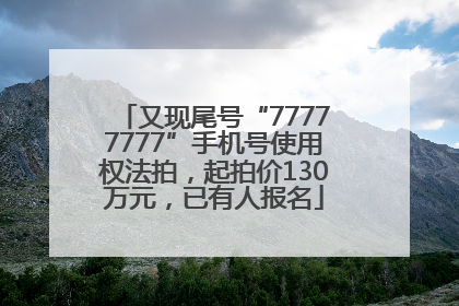 又现尾号“77777777”手机号使用权法拍，起拍价130万元，已有人报名