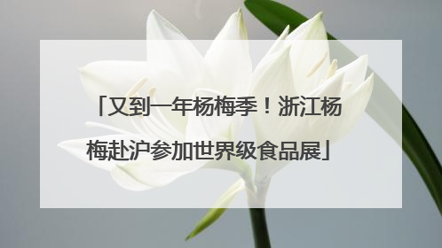 又到一年杨梅季！浙江杨梅赴沪参加世界级食品展