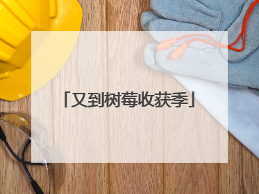 又到树莓收获季