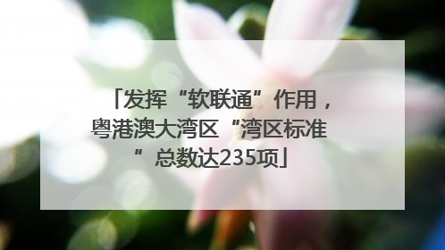 发挥“软联通”作用，粤港澳大湾区“湾区标准”总数达235项
