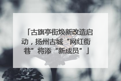 古旗亭街焕新改造启动，扬州古城“网红街巷”将添“新成员”