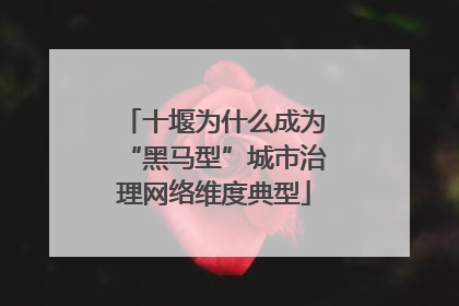 十堰为什么成为“黑马型”城市治理网络维度典型