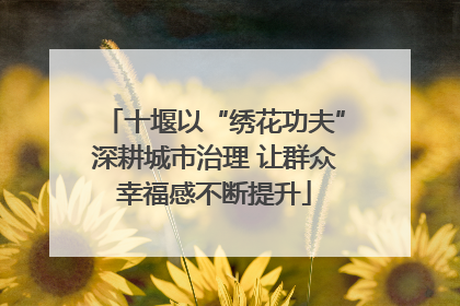 十堰以“绣花功夫”深耕城市治理 让群众幸福感不断提升