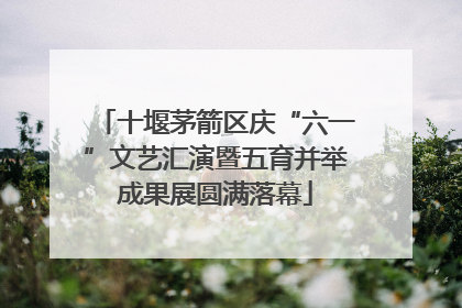 十堰茅箭区庆“六一”文艺汇演暨五育并举成果展圆满落幕