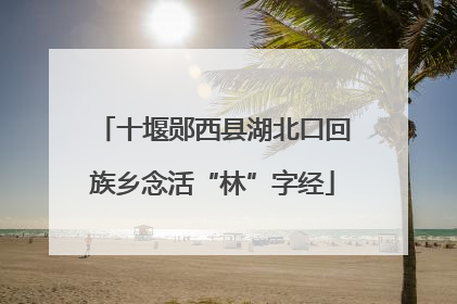 十堰郧西县湖北口回族乡念活“林”字经