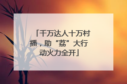 千万达人十万村播，助“荔”大行动火力全开