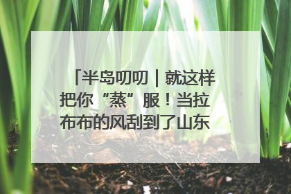 半岛叨叨｜就这样把你“蒸”服！当拉布布的风刮到了山东馒头界……