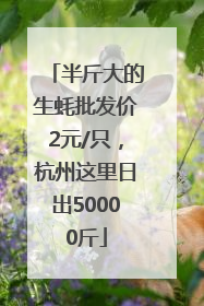 半斤大的生蚝批发价2元/只，杭州这里日出50000斤