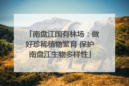 南盘江国有林场：做好珍稀植物繁育 保护南盘江生物多样性