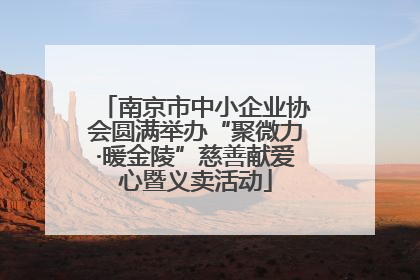 南京市中小企业协会圆满举办“聚微力·暖金陵”慈善献爱心暨义卖活动