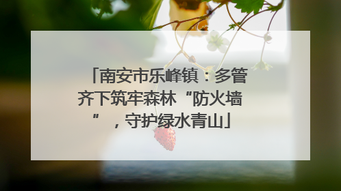 南安市乐峰镇：多管齐下筑牢森林“防火墙”，守护绿水青山