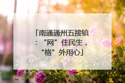 南通通州五接镇：“网”住民生，“格”外用心