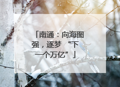 南通：向海图强，逐梦 “下一个万亿”