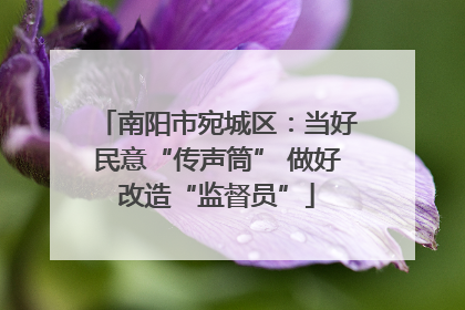 南阳市宛城区:当好民意“传声筒” 做好改造“监督员”