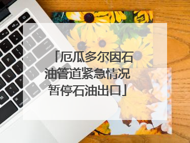 厄瓜多尔因石油管道紧急情况暂停石油出口