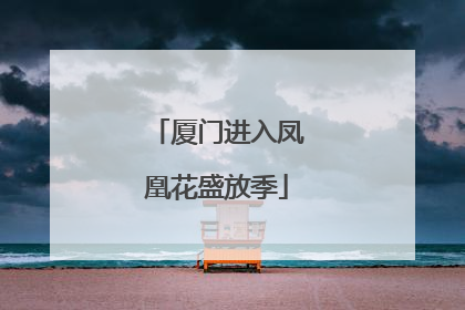 厦门进入凤凰花盛放季