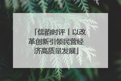 儒韵时评丨以改革创新引领民营经济高质量发展