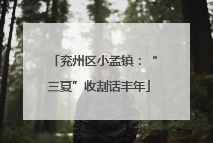 兖州区小孟镇：“三夏”收割话丰年