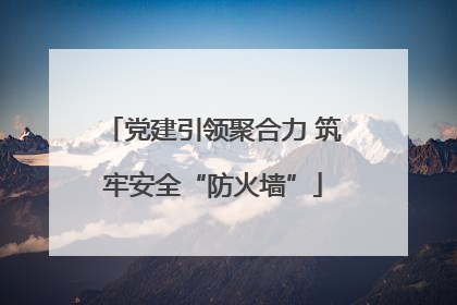 党建引领聚合力 筑牢安全“防火墙”